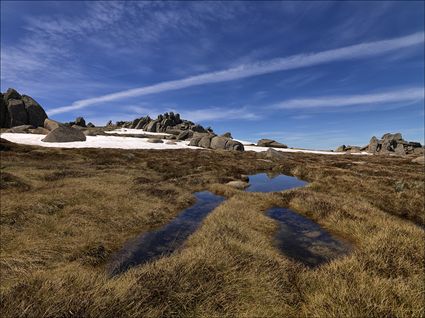 Alpine Marshland - Rams Head Range - NSW SQ (PBH4 00 10816)